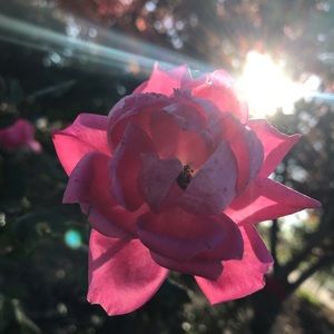 Meet your Posher, Eliana